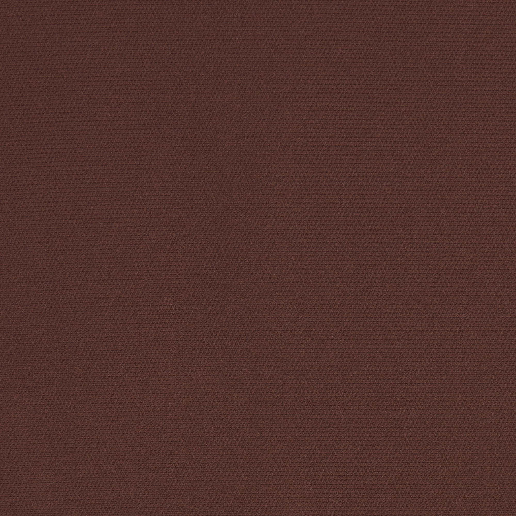 Butt Enhancing Padded Short - Image 8