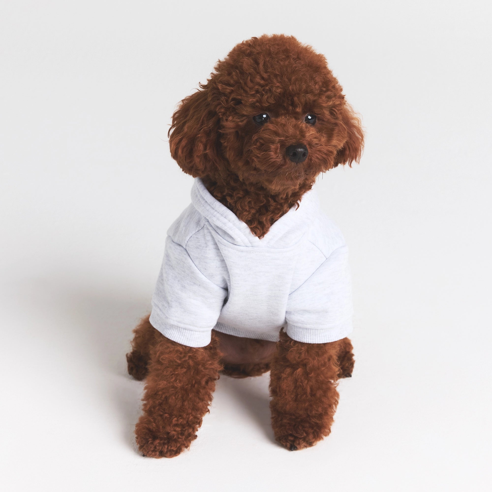 Pet Hoodie - Image 4