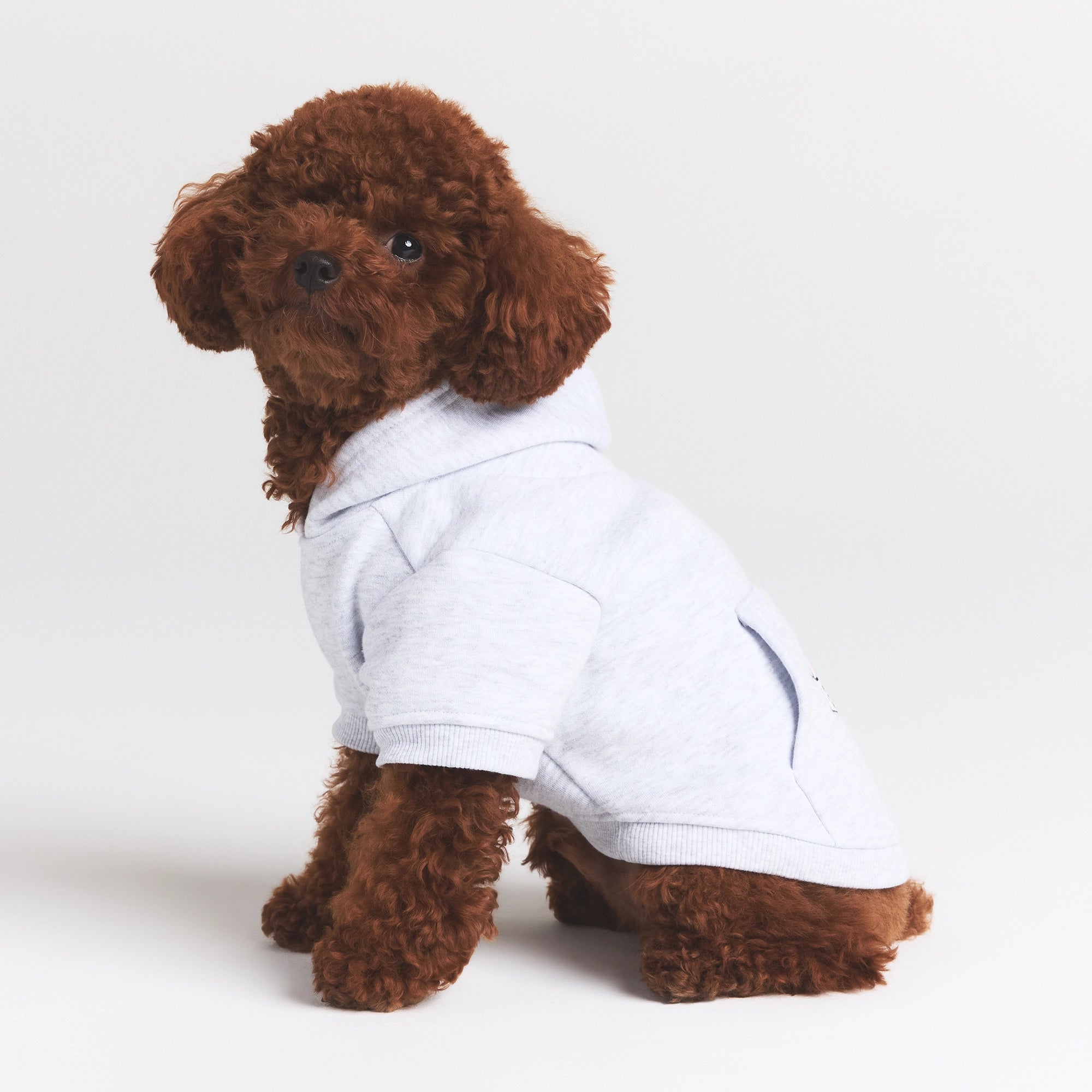Pet Hoodie - Image 2
