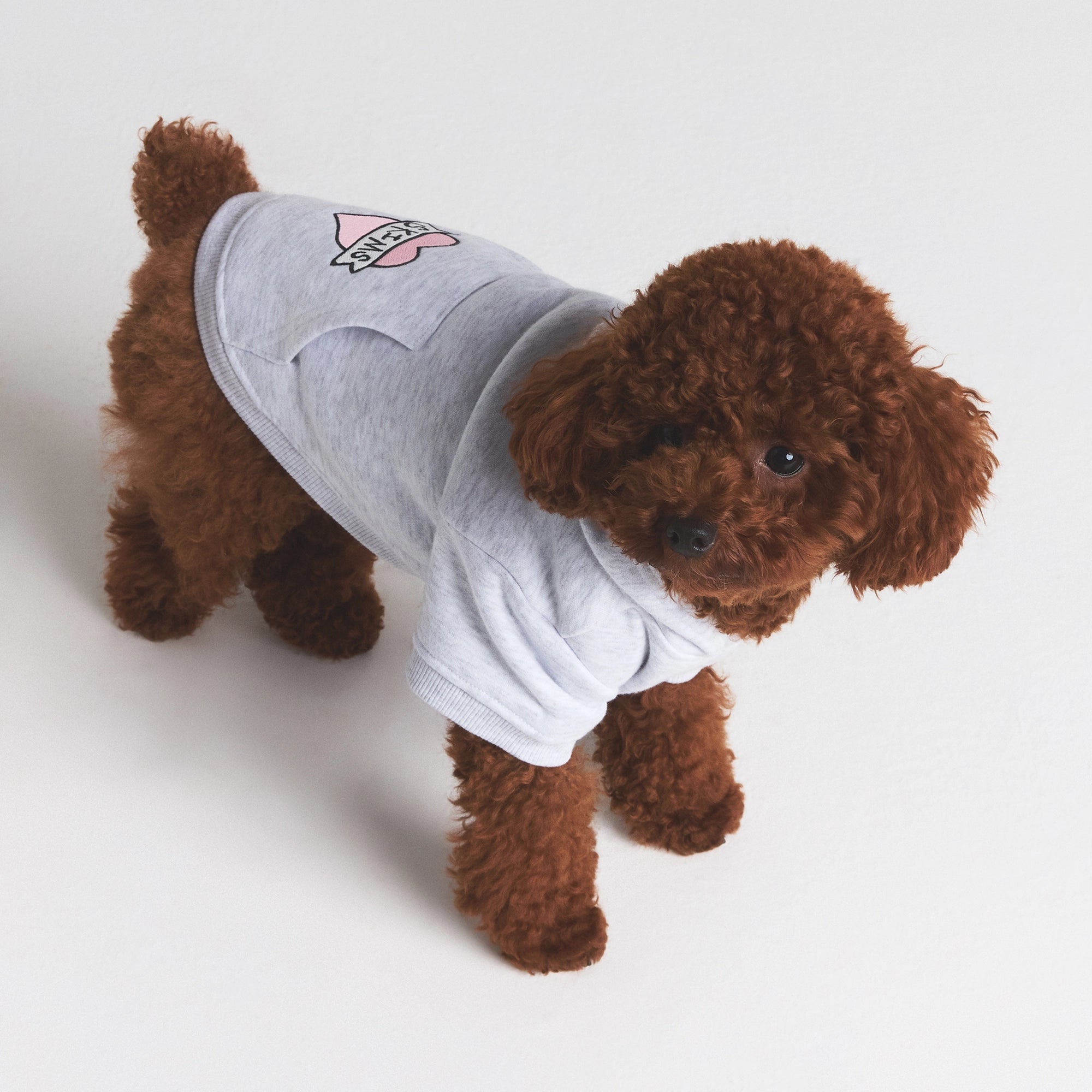 Pet Hoodie - Image 3